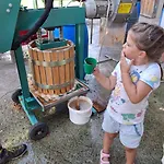 Quarto em Acomodações Particulares Pferdehof Oberegg Werfenweng
