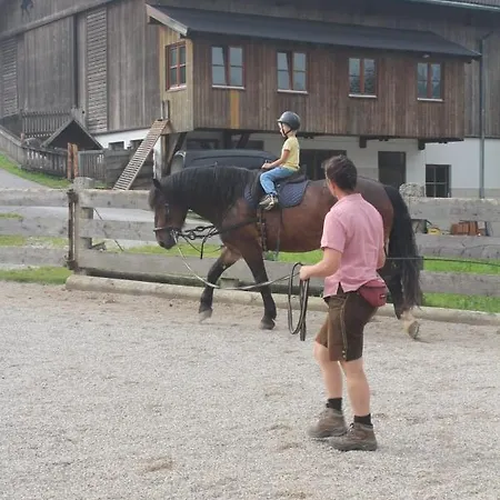 Pferdehof Oberegg Werfenweng