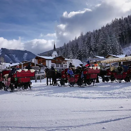 Homestay Pferdehof Oberegg Werfenweng