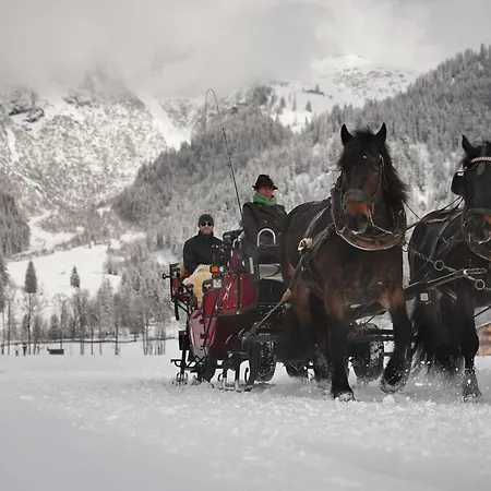 Homestay Pferdehof Oberegg Werfenweng