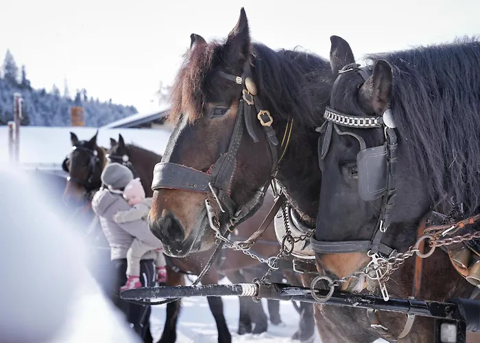 Pferdehof Oberegg * Werfenweng