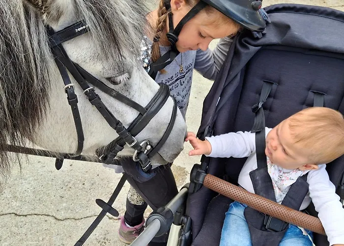 Homestay Pferdehof Oberegg Werfenweng