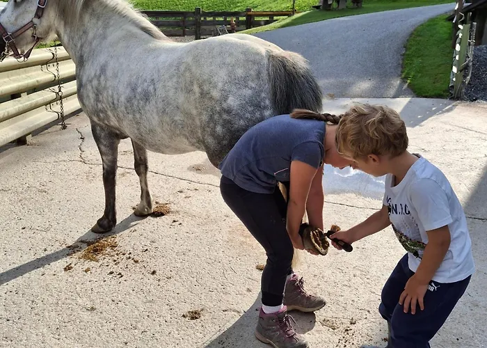 Pferdehof Oberegg Homestay Werfenweng