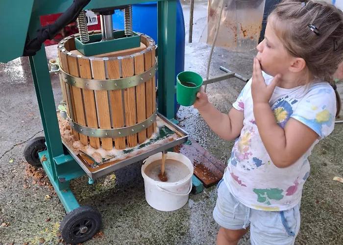 Homestay Pferdehof Oberegg Werfenweng